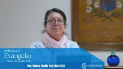 Gospel Reflection | Tuesday, July 28