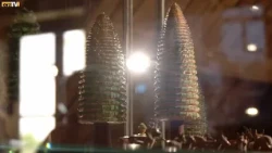 From Glass to Wood