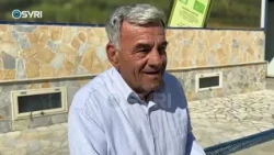 Vaji i ullirit, rritet prodhimi por dhe kostot, mungesa e fuqisë punëtore mbetet sfidë
