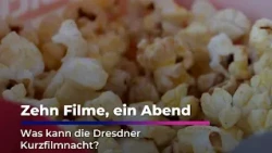 Dresden Short Film Night Reviewed