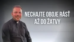 EFFETA | 16. nedeľa v Cezročnom období, ROK A