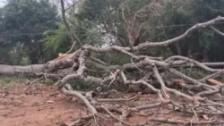 Strong winds leave tragic consequences across the country