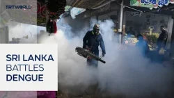 Incoming rains raise dengue fears in Sri Lanka