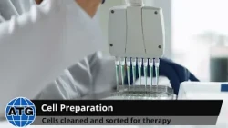 Around the Globe - Medical Advancement in Diabetes