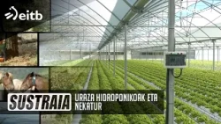 SUSTRAIA: Uraza hidroponikoak eta Nekatur