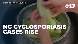 NC cyclosporiasis cases rise