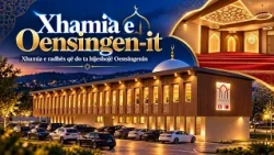 Xhamia e  Oensingenin