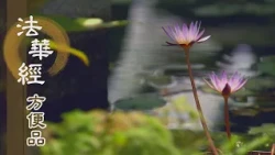 【靜思妙蓮華】法華經方便品第二 - 聞法精進除習氣 - 第235集｜共修版