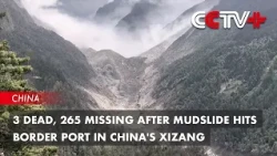 3 Dead, 265 Missing After Mudslide Hits Border Port in China's Xizang