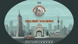 Colibrí Viajero: Fomentar el derecho al turismo | Urbanoscopio con @HernanGomezB1