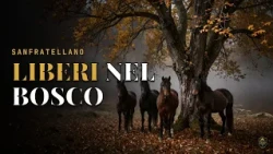 SANFRATELLANO: i cavalli che vivono LIBERI nei boschi della Sicilia 🐎