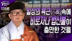 일상의 육근(六根) 속에 비로자나 법신불이 충만하다 | 송담스님의 이뭣고 126회(전체영상) #송담스님 #간화선