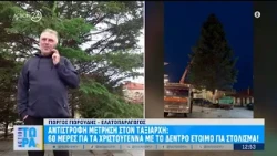 Αντίστροφη μέτρηση στον Ταξιάρχη: 60 ημέρες για τα Χριστούγεννα με το δέντρο έτοιμο για στόλισμα