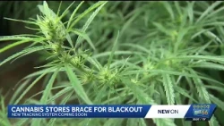 New Mexico cannabis businesses prepare for six-day inventory system blackout