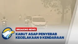 BREAKING NEWS - Dua Orang Tewas akibat Kabut Asap