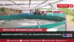 BUDIDAYA IKAN BIOFLOK JADI EKOSISTEM PEREKONOMIAN