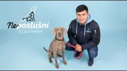 Auri je milá, ale skrýva sa pred všetkými – aj pred svojimi majiteľmi | Neposlušní