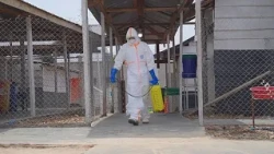 DRC Ebola clinic celebrates departure of last confirmed cases