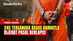 245 Tersangka Kasus Karhutla Resmi Dijerat Pasal Berlapis Tanpa Kompromi | Sindo Siang | 30/10