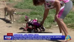 City in Action - Animal rescuer asks for donations of pet food and supplies to care for rescued a...