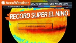 The 2026 El Niño Forecast: What You Need to Know