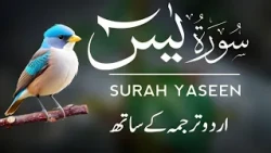 Surah Yaseen With Urdu Translation - Episode 03 | Surah Yasin Urdu Tarjuma ke Sath