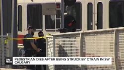 Pedestrian dies after being struck by CTrain in SW Calgary