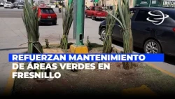 Green space maintenance stepped up in Fresnillo