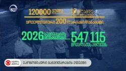 ეკონომიკური განვითარების ეფექტი