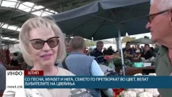 Со песна, муабет и нега, семето го претвораат во цвет, велат љубителите на цвеќиња