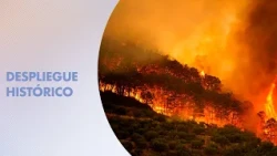 Wildfires and Concern in Spain