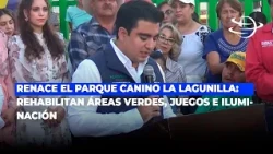La Lagunilla Dog Park Reborn: Green Areas, Playgrounds, and Lighting Rehabilitated