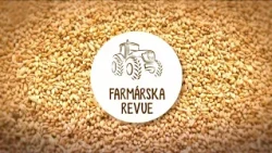 Mäsový dobytok, orchidey v doline a dalmatínske králiky – leto na farme | Farmárska revue 🌾