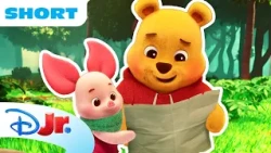 Piglet and Pooh Bear Journey to a Waterfall! 🌊💛 | Playdate with Winnie the Pooh | ⁨Disney Jr.