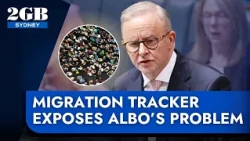 ‘Every 56 seconds’ | Migration tracker exposes Anthony Albanese's problem