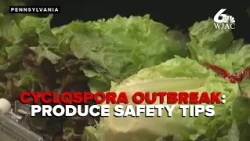 Penn State nutritionist shares produce safety tips as Cyclospora cases increase nationwide