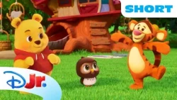 Pooh Bear, Tigger, and Owl Play Follow the Leader! 🍯💛 | Playdate with Winnie the Pooh | Disney Jr.
