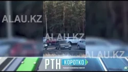В Костанае у припаркованных возле ЭКО-парка автомобилей скрутили номера