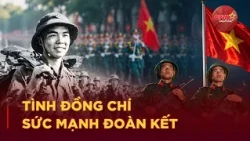 Uncle Ho's Soldiers - The Strength of Comradeship and Solidarity | Cultural Wellspring