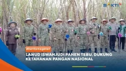 MAGETAN - Iswahjudi Air Force Base Harvests Sugarcane to Support National Food Security