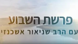 Rabbi Shneur Ashkenazi - Parshat Noach: Choosing to Repair