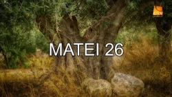 Bible Reading - Matthew 26