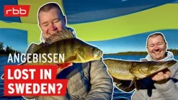 Wo sind die Fische? Angelspots entdecken in Schweden | Angebissen #208 | Angelpodcast