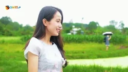 DAI AN LOTUS SEASON - DON'T MISS OUT