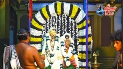 புங்குடுதீவு 8ம் வட்டாரம் வல்லன் திருப்பெருந்துறை நாகதம்பிரான் கோவில் திருக்கல்யாணம்