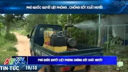 Phu Quoc is determined to prevent and control dengue fever.