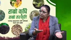 Krishi Epi 162 माया केसी_पर्यावरणीय मानव केन्द्रीत कृषि अभियन्ता