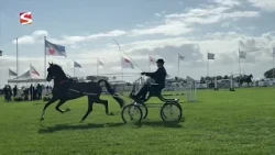Fourth Blauhúster Hynstedei brings equestrian sports and traditional crafts together