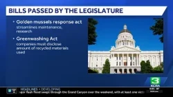 California golden mussel bill heads to Gov. Gavin Newsom's desk
