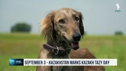 September 3 - Kazakhstan marks Kazakh Tazy Day